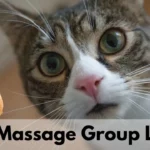 Cat Messenger Group Links